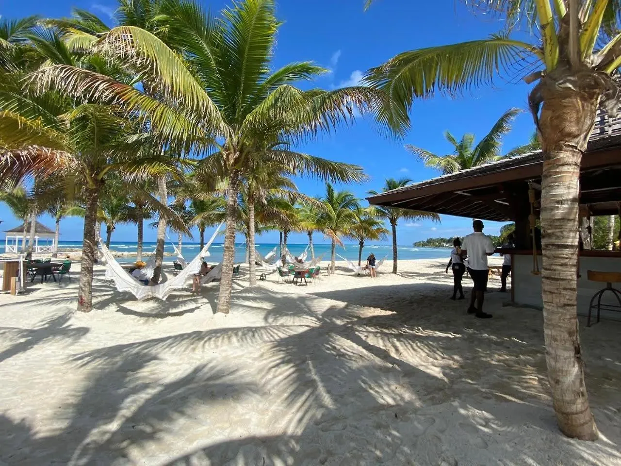 Hospitality Expert Bts 8 - Pool Beach & Bar Montego Bay Inn